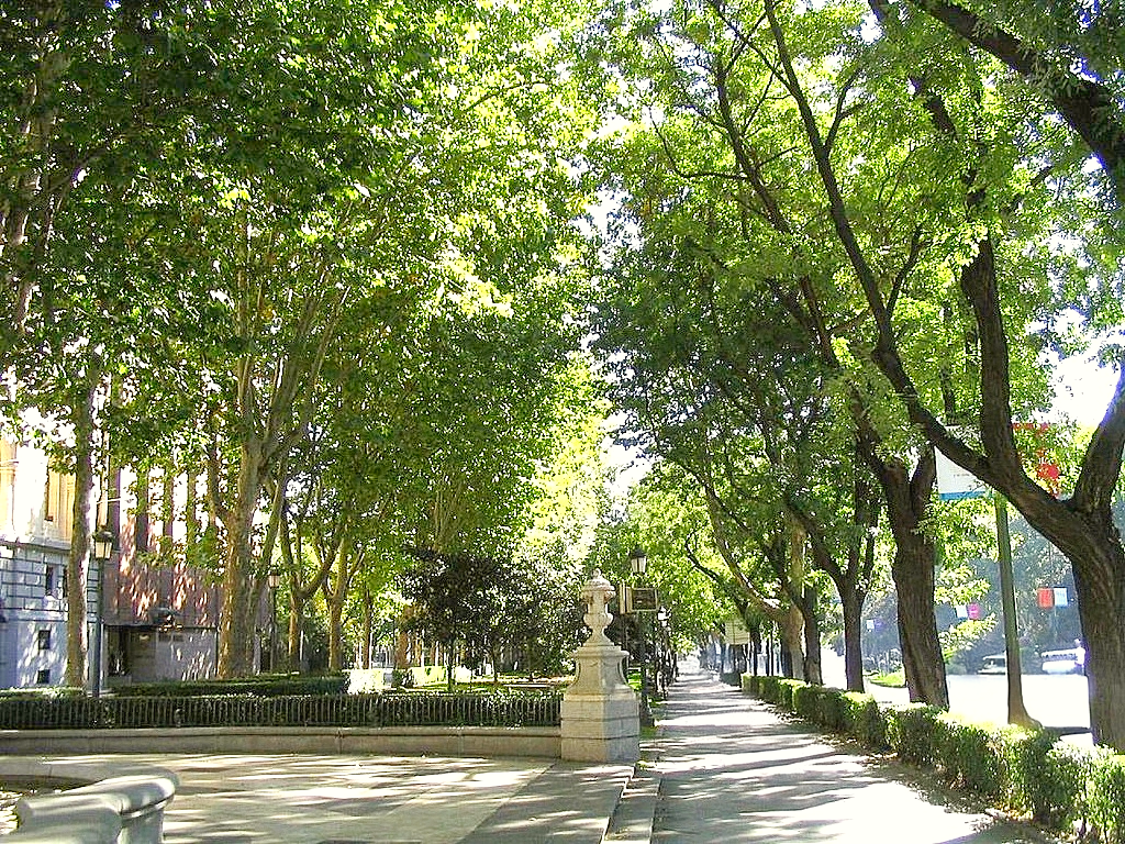 FREE TOUR MADRID DE LOS BORBONES. - Imagen 15
